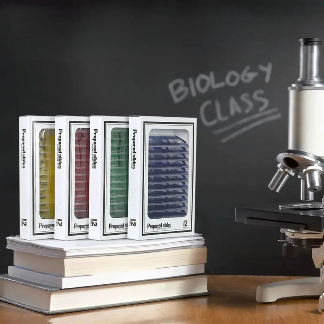 Lames de microscope Aire de jeux 