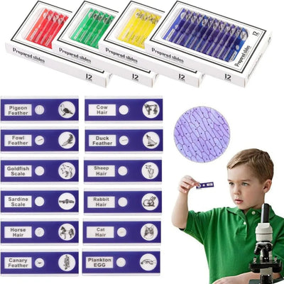 Lames de microscope Aire de jeux 