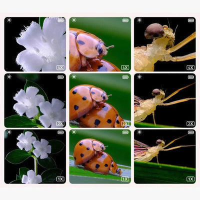 Microscope Enfant Aire de jeux 