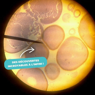 Microscope Enfant Portable - Air de Jeux 