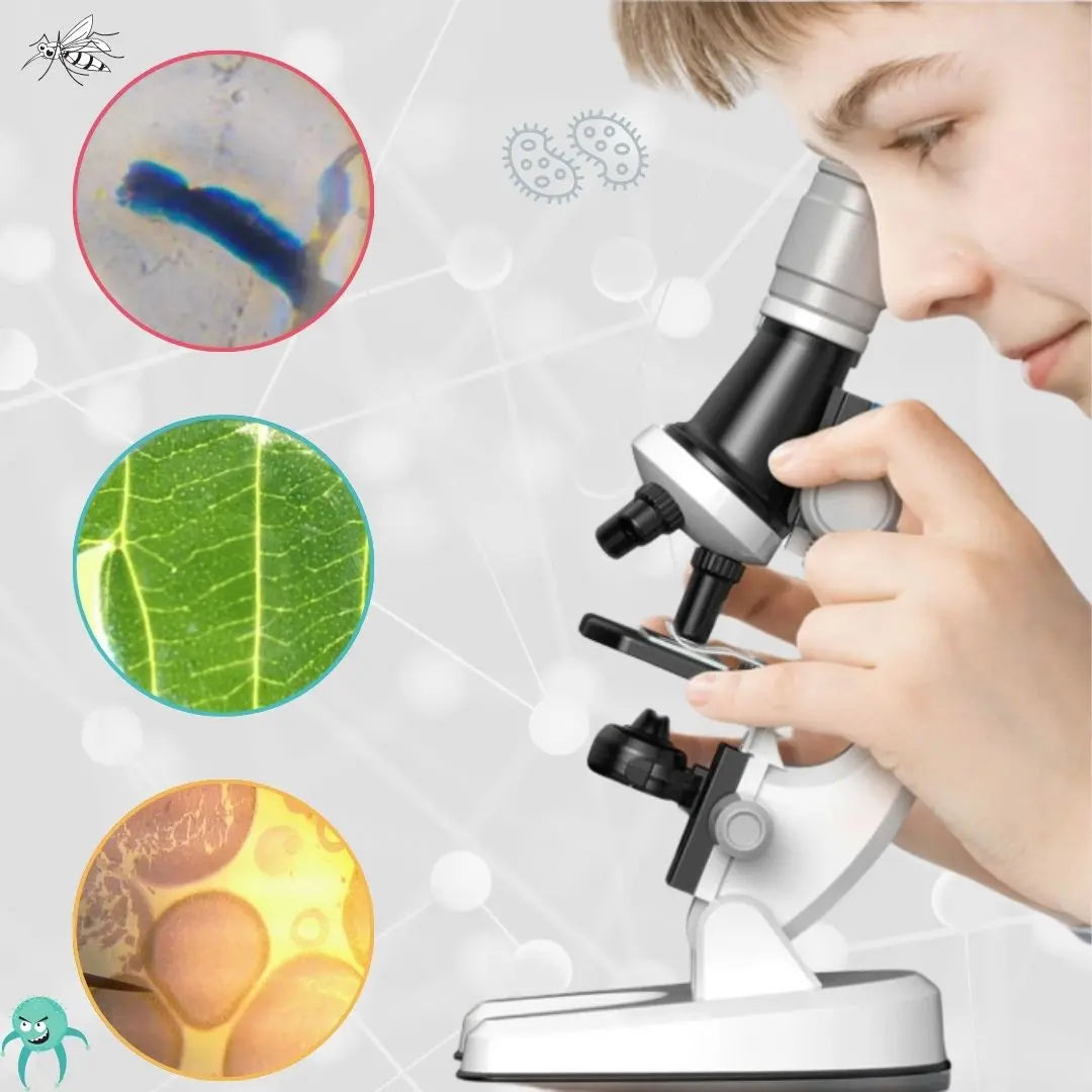 Microscope Optique Aire de jeux