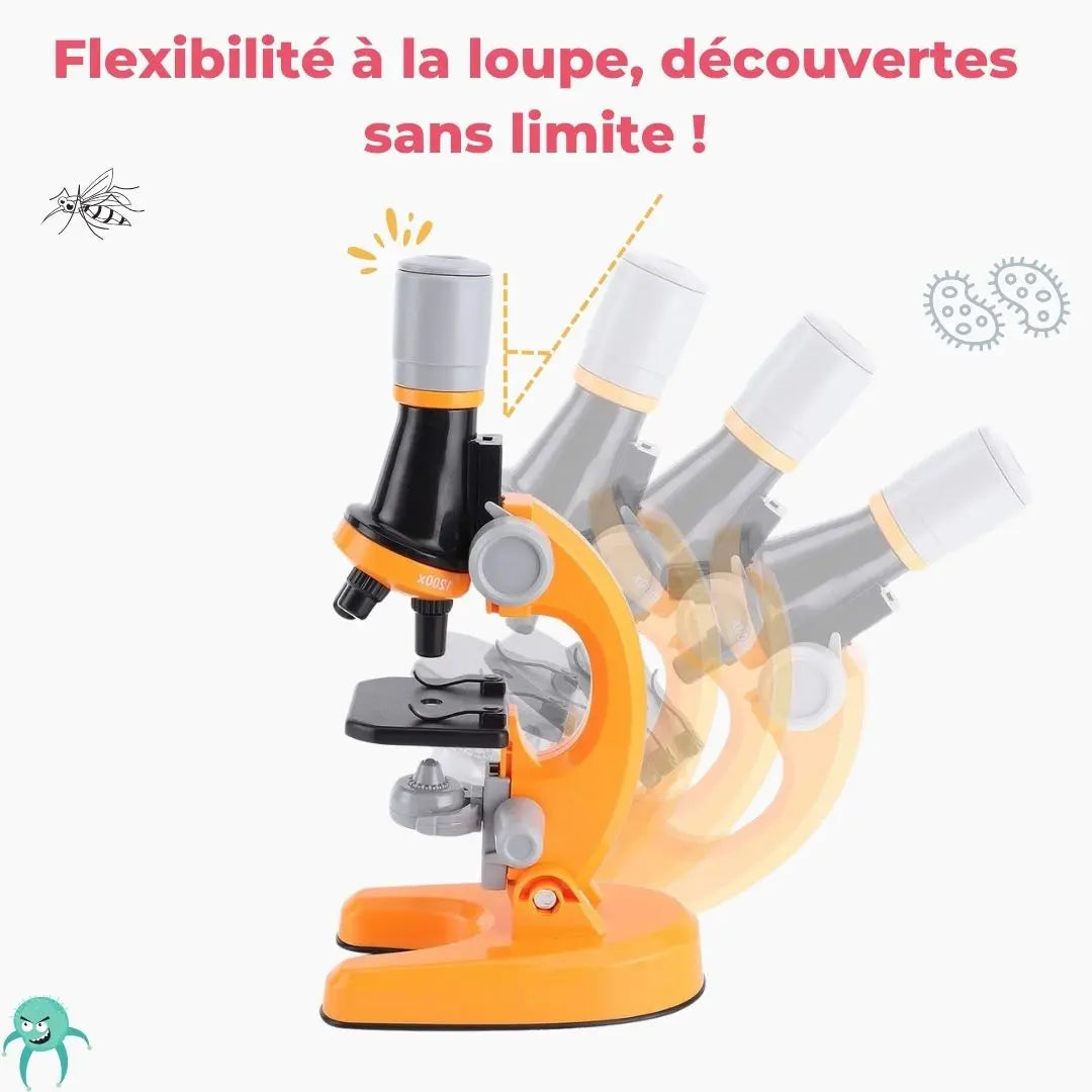 Microscope Optique Aire de jeux