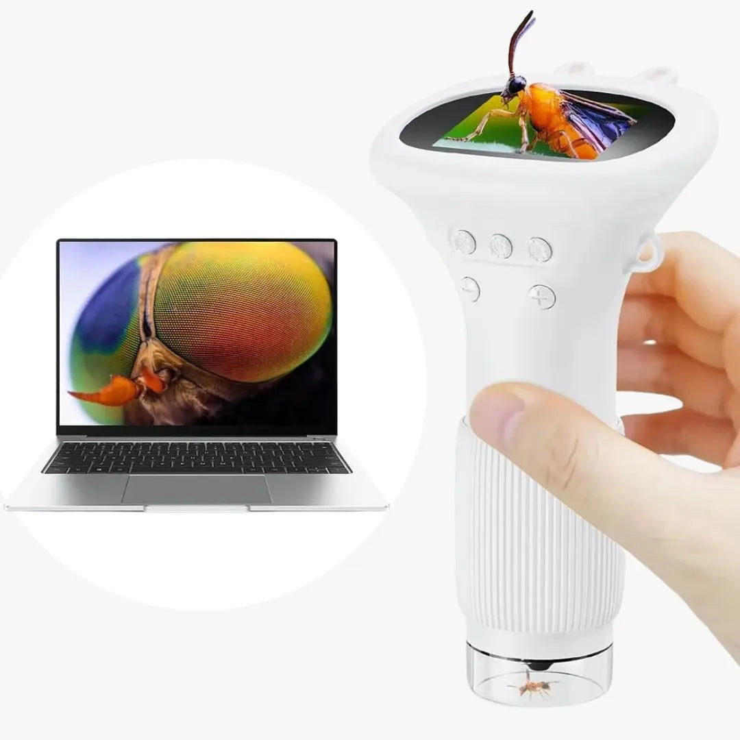 Microscope de Poche Compact Aire de jeux