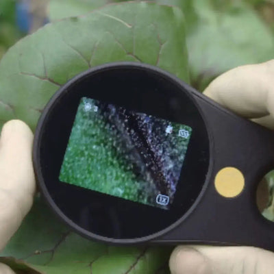 Microscope de Poche MicroFun Aire de jeux