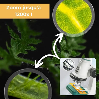 Microscope Éducatif Aire de jeux