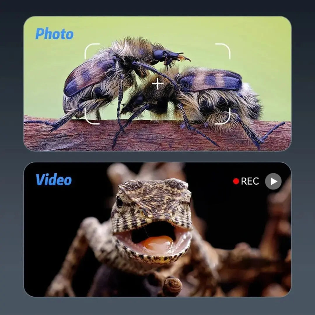Microscope Électronique Grand Écran Zoom Aire de jeux