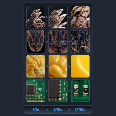 Microscope electronique Grand ecran Zoom Aire de jeux  