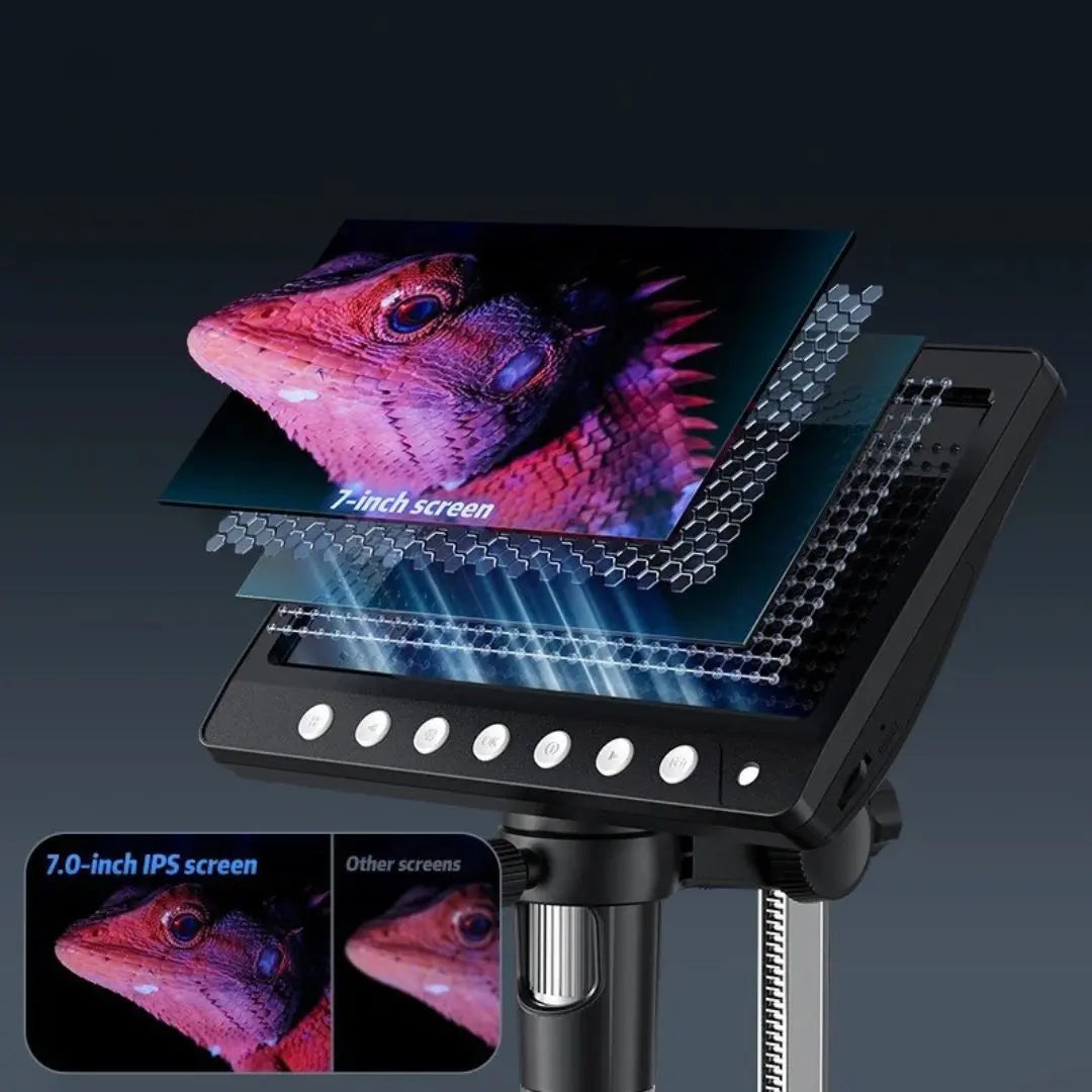Microscope Électronique Grand Écran Zoom Aire de jeux
