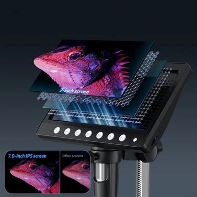 Microscope Électronique Grand Écran Zoom Aire de jeux