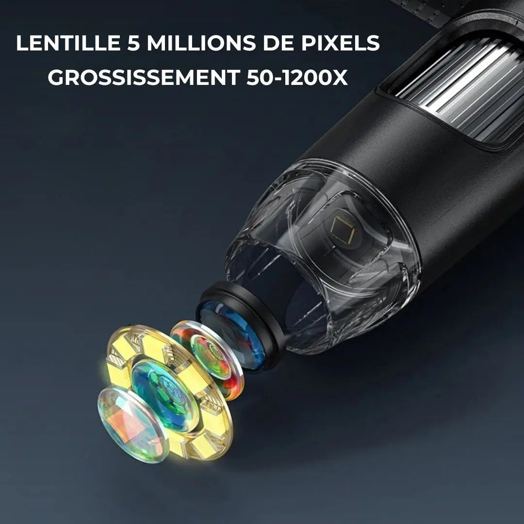 Microscope Électronique Grand Écran Zoom Aire de jeux