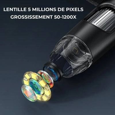 Microscope Électronique Grand Écran Zoom Aire de jeux