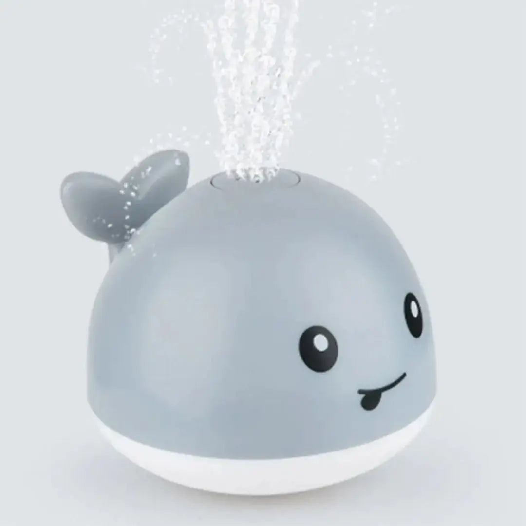 🐳 Miss Saphira aire de jeux